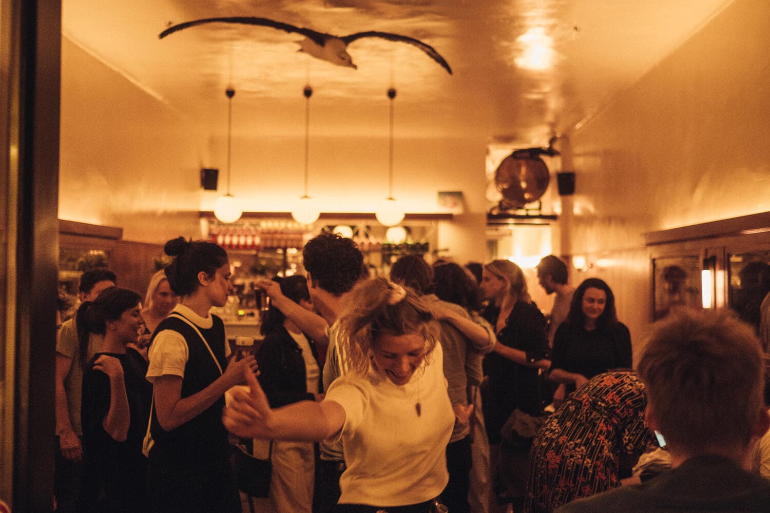 Café Albatros photo